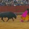 SE ESTÁ MURIENDO LA FIESTA DE TOROS EN MEDELLÍN